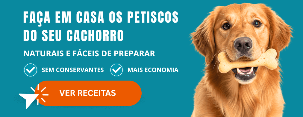 Melhor ração para Rottweiler: Descubra as melhores opções 1 cachorro rottweiller
